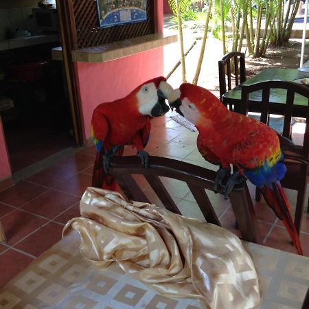 יקו Hotel El Paraiso Escondido - Costa Rica מראה חיצוני תמונה