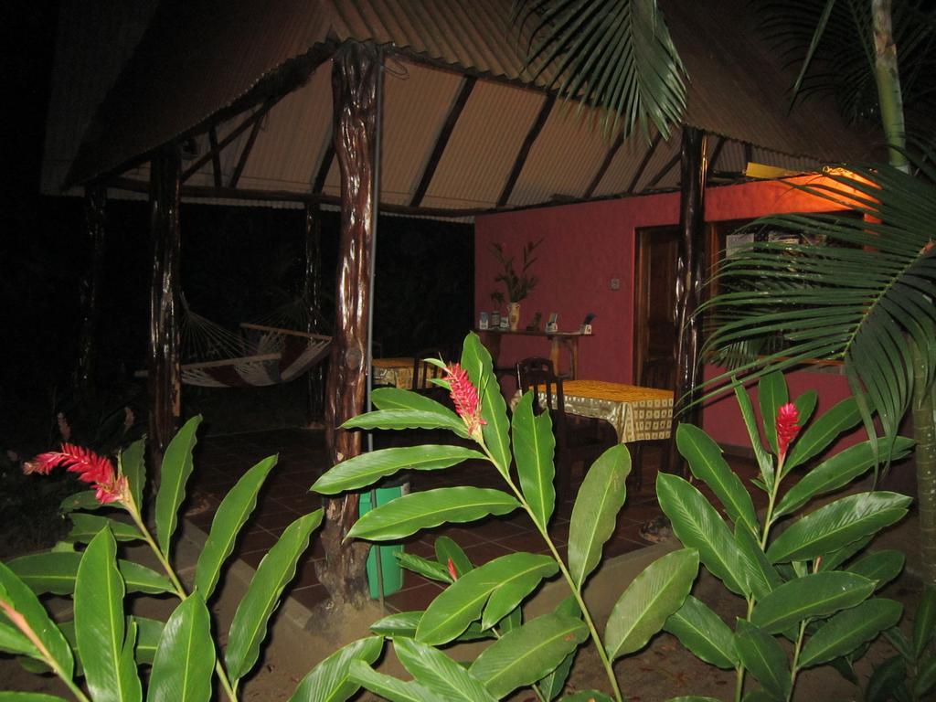 יקו Hotel El Paraiso Escondido - Costa Rica מראה חיצוני תמונה