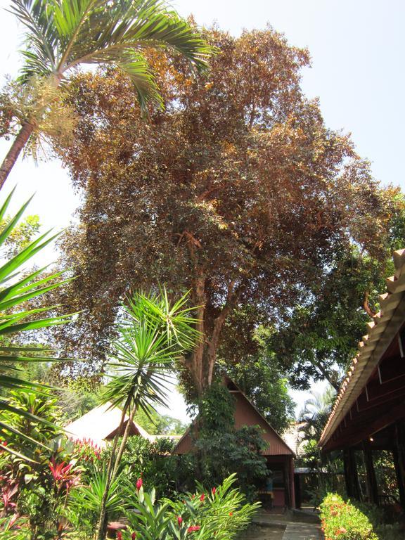 יקו Hotel El Paraiso Escondido - Costa Rica חדר תמונה