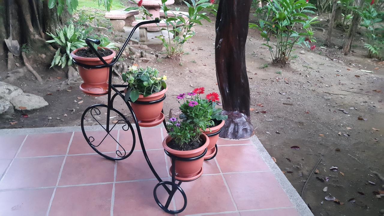 יקו Hotel El Paraiso Escondido - Costa Rica מראה חיצוני תמונה