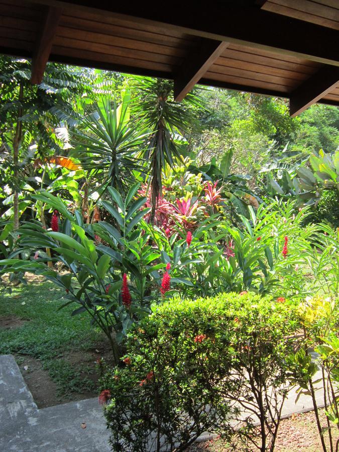 יקו Hotel El Paraiso Escondido - Costa Rica מראה חיצוני תמונה