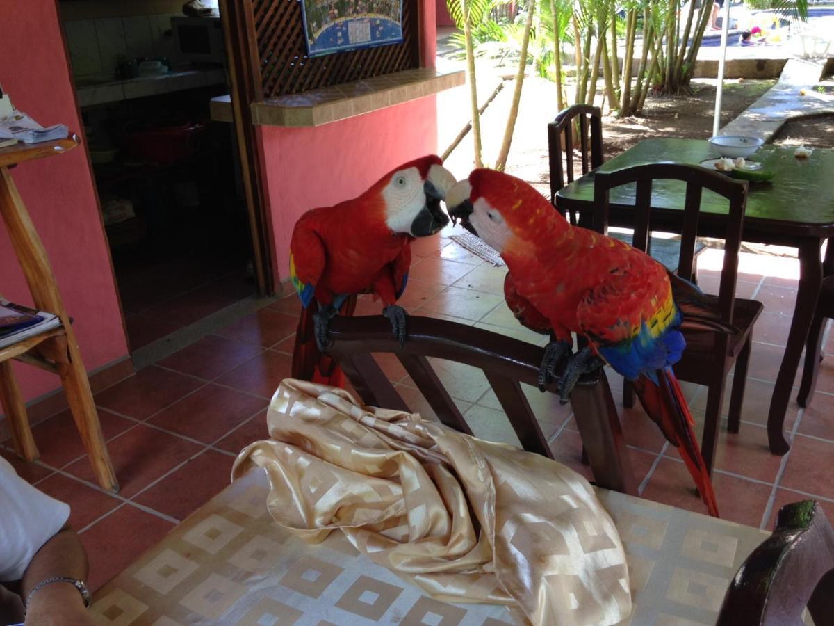 יקו Hotel El Paraiso Escondido - Costa Rica מראה חיצוני תמונה